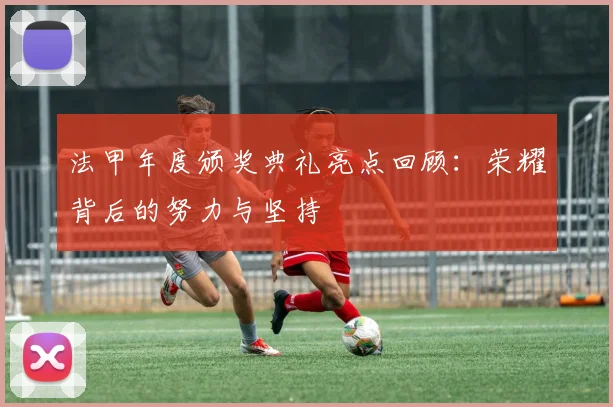 法甲年度颁奖典礼亮点回顾:荣耀背后的努力与坚持