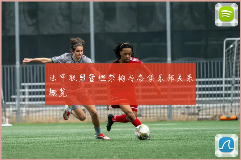 法甲联盟管理架构与各俱乐部关系概览